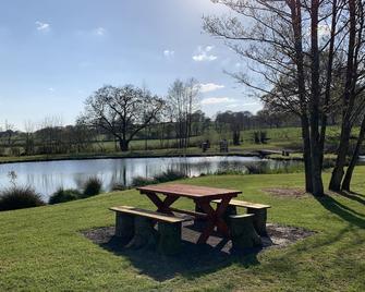Spacious Chalets, Eco, Pet, Disabled Friendly. Forest of Dean, Wye Valley - Lydney - Patio
