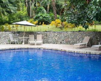 Blue Banyan Inn - Quepos - Pool