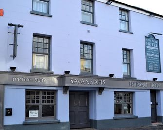 New Park Hotel - Кармартен - Будівля