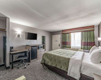 Quality Inn I-10 East near Frost Bank Center - San Antonio - Schlafzimmer
