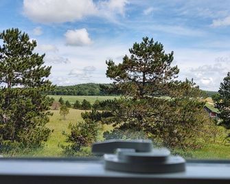 Charming, quiet, country retreat 1890's Centennial Farm house - Empire - Patio