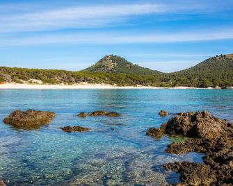 Apartamento Grillo - Cala Ratjada