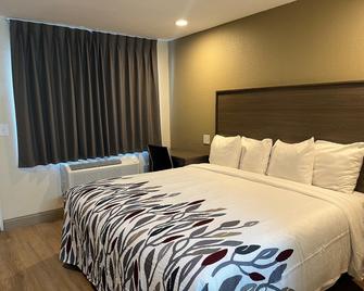 Red Roof Inn Haltom City - Haltom City - Habitación