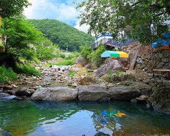 Gapyeong Valley in the Forest Pension - Gapyeong - Habitación