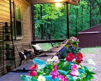 Cozy Cabin Surrounded by Beautiful Woods - Van Buren - Binnenhof