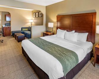 Comfort Inn and Suites Lincoln Talladega I-20 - Lincoln - Bedroom