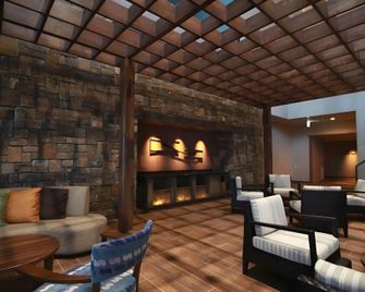 Toya Sun Palace Resort & Spa - Тояко-Онсеммачі - Лаунж