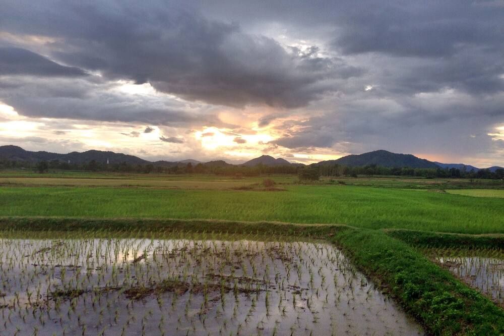 Le Bar Tarry Hotel - Loei - Outdoor view