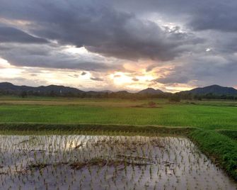 Le Bar Tarry Hotel - Loei - Outdoor view