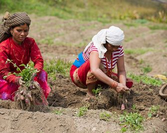 Hananoie - A Permaculture Resort - Pokhara