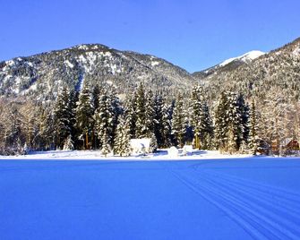 Loons Nest - Cozy, secluded 4 bedroom log cabin in the heart of the wilderness! - Gold Bridge - Piscina