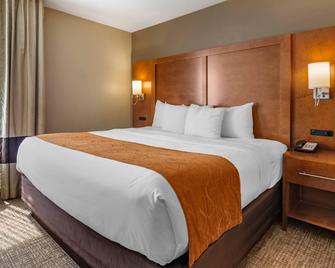 Comfort Suites Bethlehem Near Lehigh University And LVI Airport - Бетлехем - Спальня