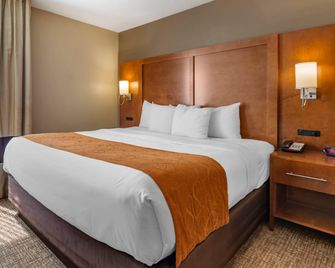 Comfort Suites Bethlehem Near Lehigh University And LVI Airport - Bethlehem (Pennsylvania) - Camera da letto