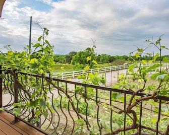The Vineyard B&B at Lost Creek Ranch - Llano - Balcony