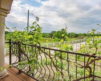 The Guesthouse at The Lonely Oak - Llano - Balkon