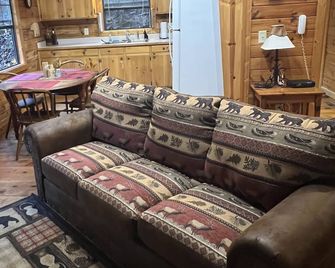 Bear Pause,babblingcreekfront Logcabin,hottub Delivery Sept 2025,firepit,hammock - Cherry Log - Living room