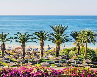 Alion Beach Hotel - איה נאפה - חוף