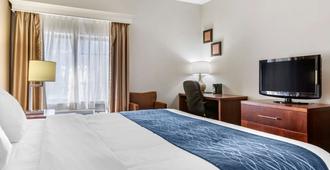 Comfort Inn Downtown - University Area - Kalamazoo - Bedroom