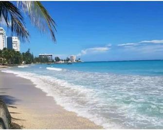 Ocean view, and steps to the beach - Carolina - Playa