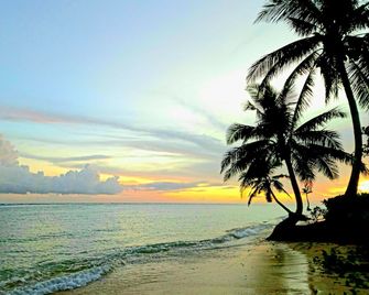 Sigasiga Sands Boutique Bungalows - Savusavu - Pláž