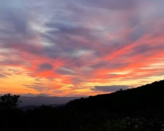 Tra gli ulivi e il panorama - Orvieto - Vista esterna