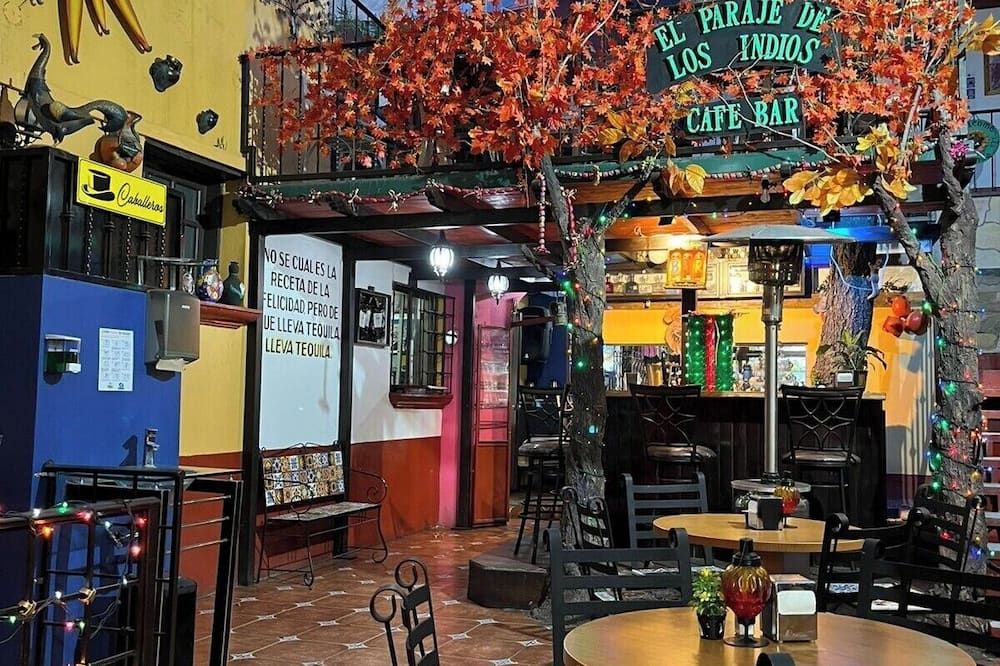 Hotel Boutique El Viejo Mundo - Parral - Bar