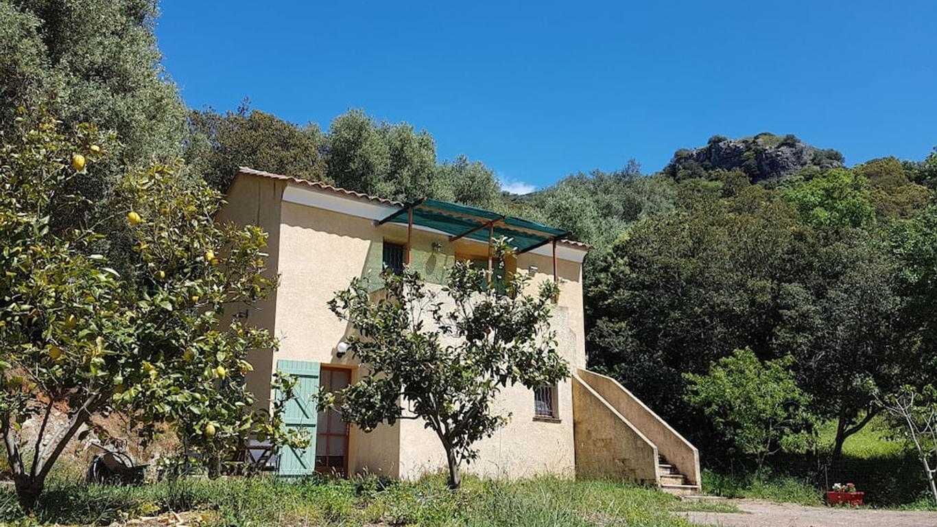 A Casa DI L'alivu