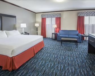 Holiday Inn Express Cleveland Airport - Brookpark, An IHG Hotel - Brook Park - Bedroom