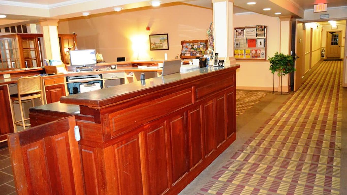 نيو وورلد إن