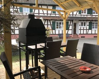Appartement T3 Aux Deux Cigognes Gries - Bischwiller - Patio