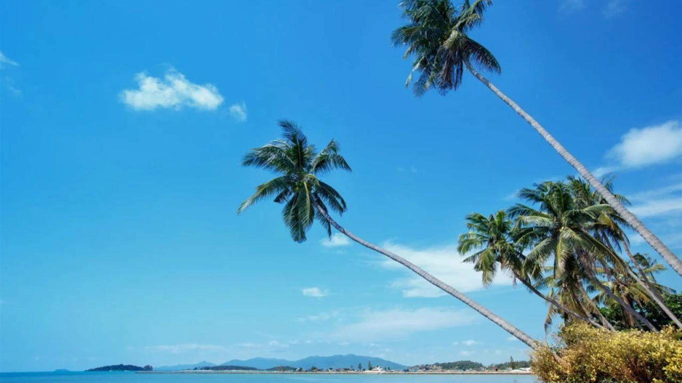 White House Beach Resort