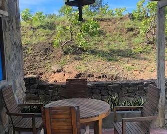 Casa Paz by Otium - La Cruz - Patio