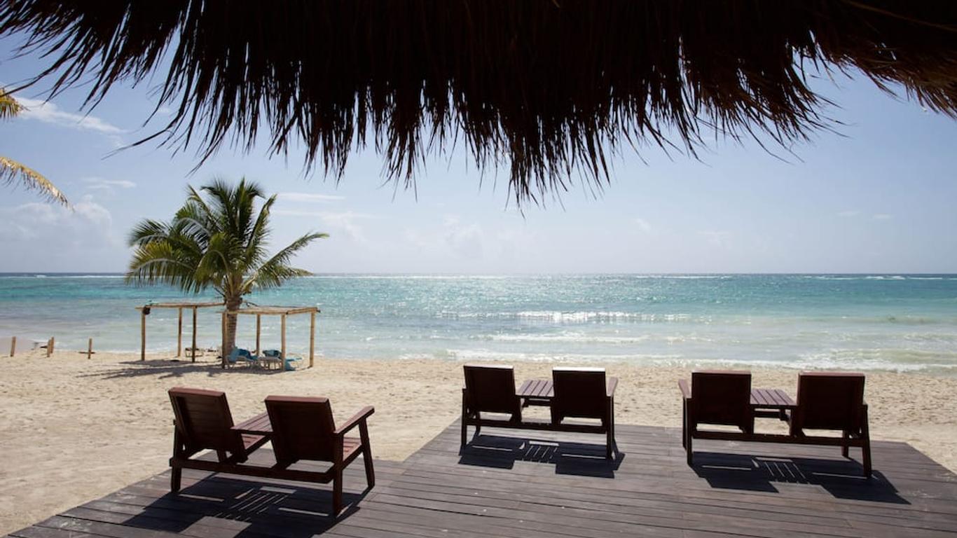 Akumal Bay Beach & Wellness Resort