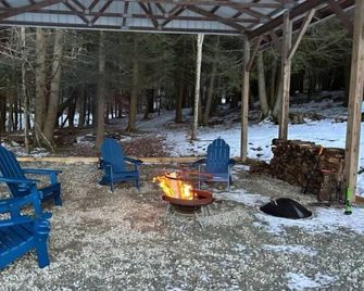 Elk Mountain Chalet - Private retreat on 12 acres with a pond and stream - Union Dale - Patio