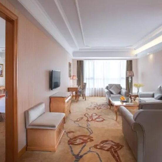 Vienna Hotel Guangdong Gaozhou City East Passenger Depot image 1
