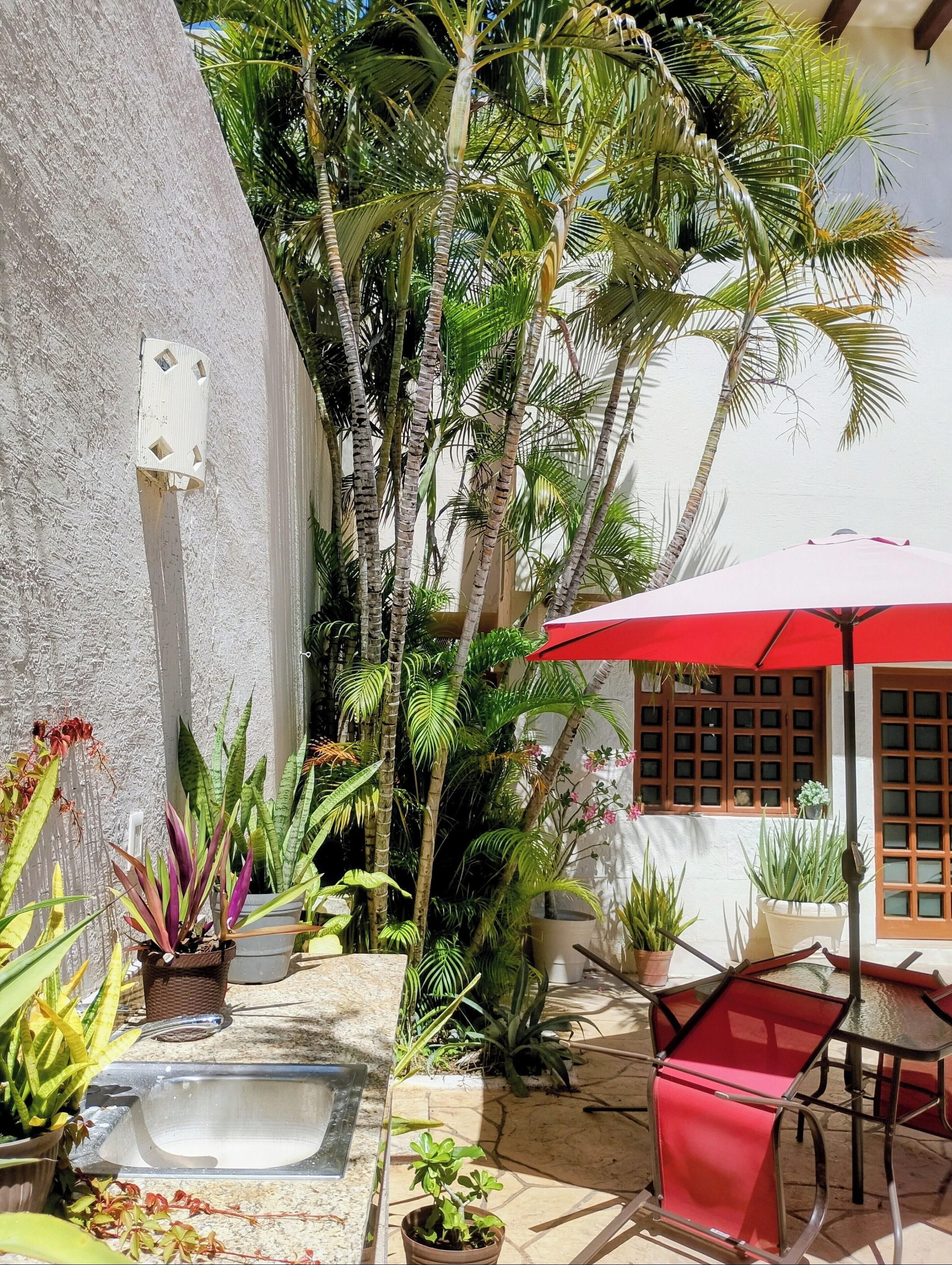 Bed and Breakfast Pecarí - קנקון - פטיו