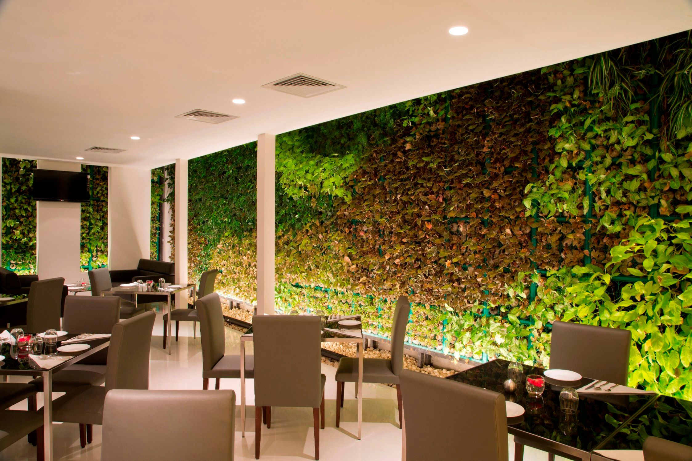 Srs Springs Hotel & Spa - Bangalore - Restaurant