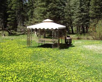 Creekside A-Frame One acre of land - Bayfield - Patio