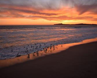 Stylish Seaside Cottage - Walking to Beach - Half Moon Bay - Beach
