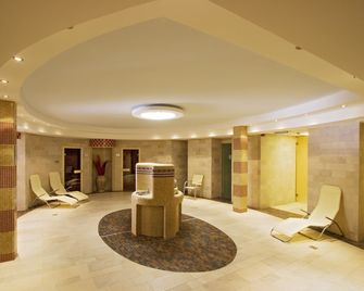 Rubin Wellness & Conference Hotel - בודפשט - לובי
