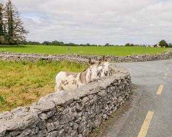 Cherry Tree Cottage, Family Friendly In Castlebar, County Mayo - Castlebar