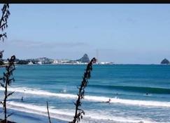 Stunning New Apartment 100mtrs From The Beach! - Nueva Plymouth - Playa