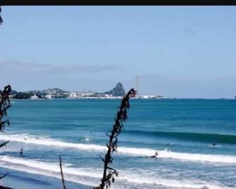 Stunning New Apartment 100mtrs From The Beach! - New Plymouth - Beach