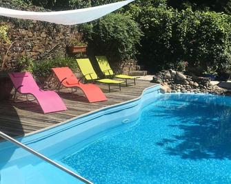Manor East Wing. Aveyron-Cantal. Stunning Views Over River Lot, Pool, Sleeps 6. - Vieillevie - Piscina