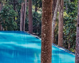 Taj Exotica Resort & Spa, Andamans - Havelock Island - Pool