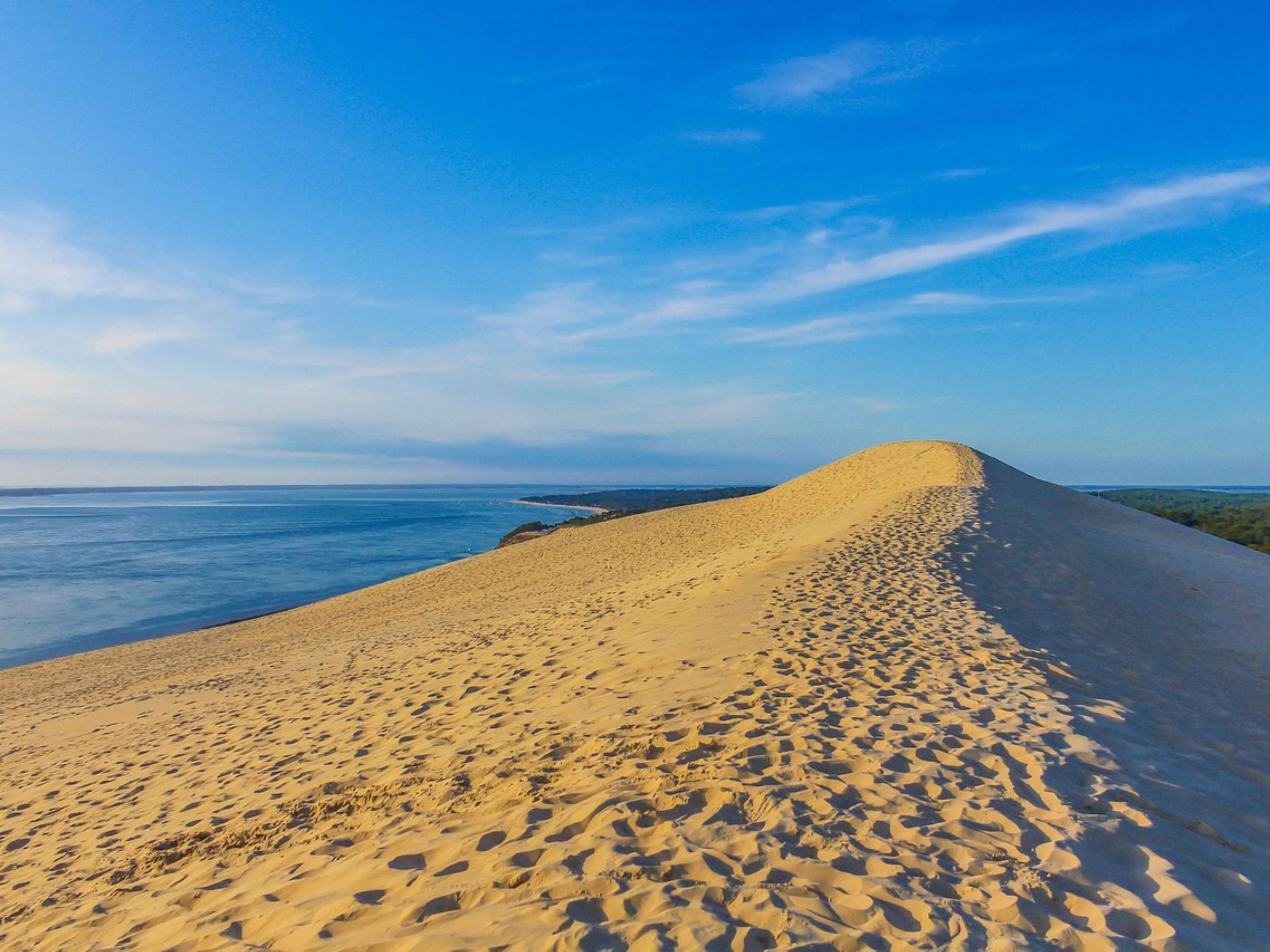 إيبيس أركاكون لا تيست