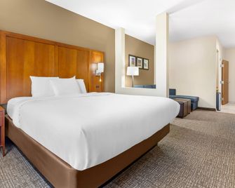 Comfort Suites Greensboro-High Point - Greensboro - Habitación