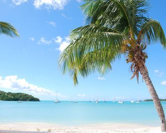 Luxurious beachfront villa with private pool - John Hughes - Plaża