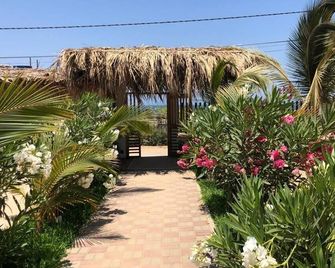 Hotel Vichayo - Vichayito - Outdoors view