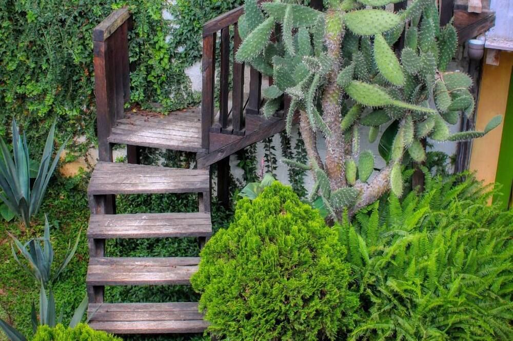 Rossco Backpackers Hostel - San Cristóbal de las Casas - Byggnad